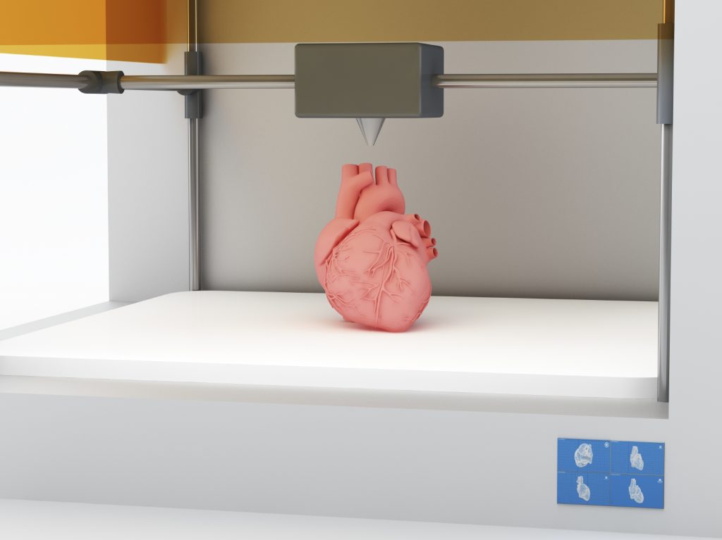 3d Printed Human Heart